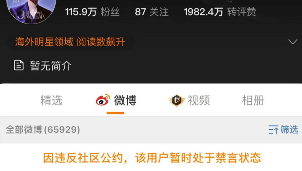 “定制飛機”“三分鐘破百萬” 說好的理性追星呢？